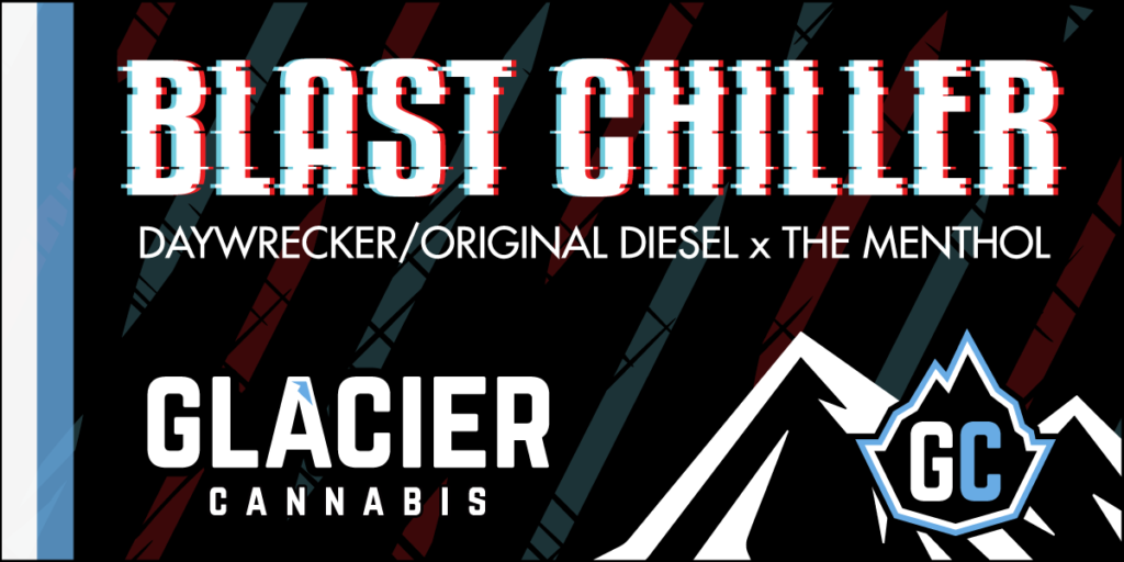 Strain Catalog » Glacier Canna